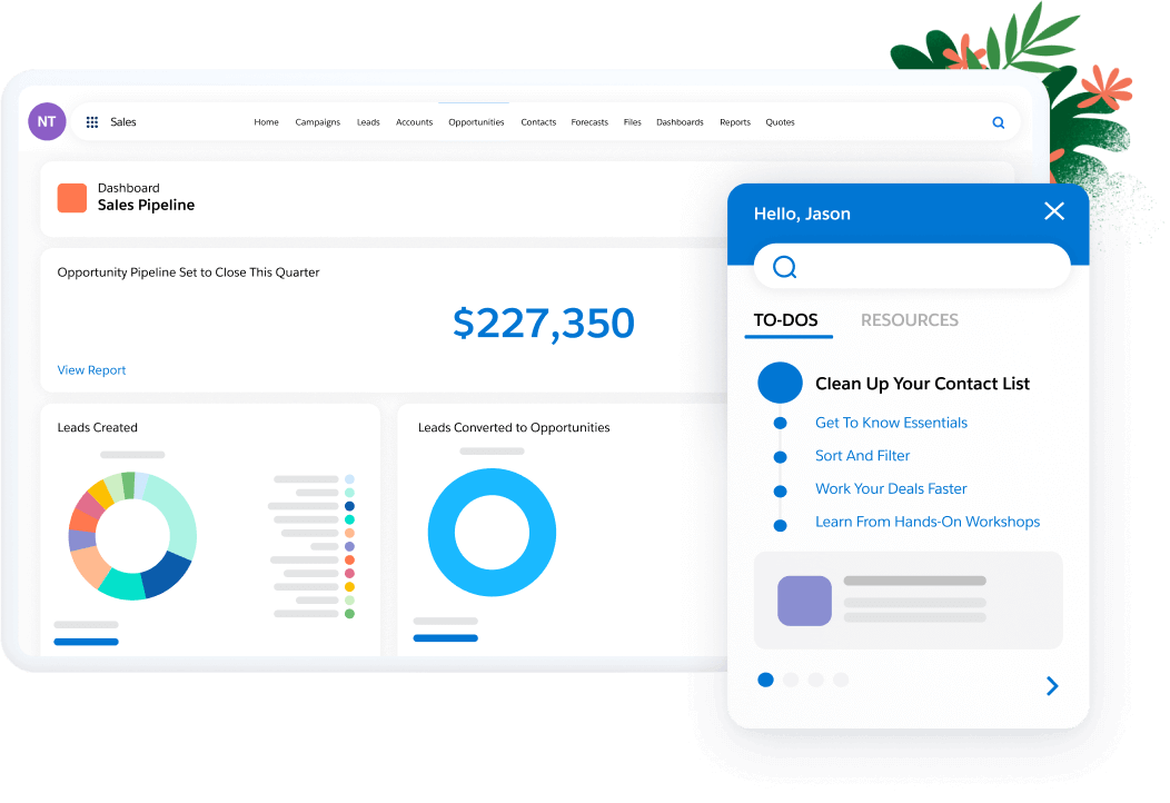 Salesforce CRM 